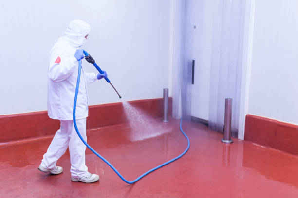 Pre-Holiday Cleaning in Freeport, PA